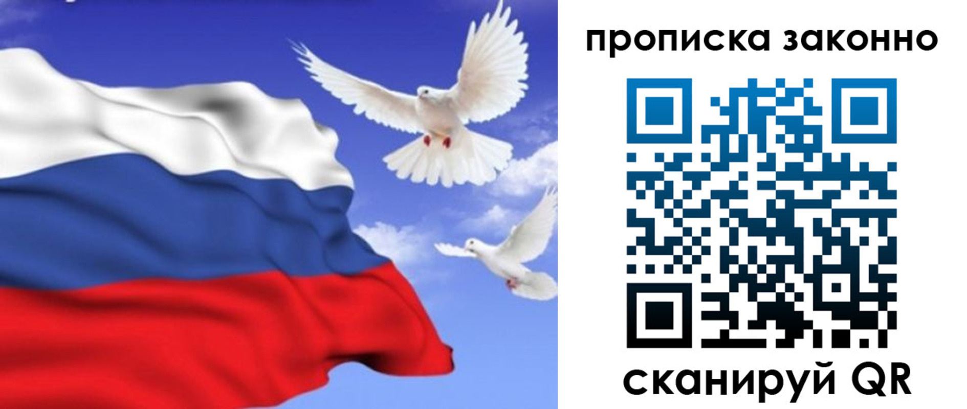 прописка в Пересвете